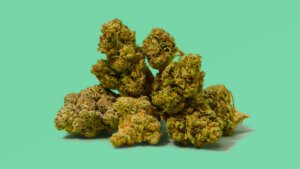 The best strains of all time according to experts
