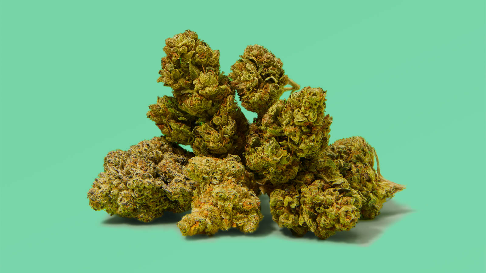 The best strains of all time according to experts BONGSnPIPES
