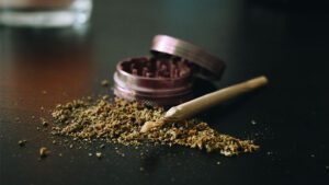How to Grind Weed with and without a Weed Grinder