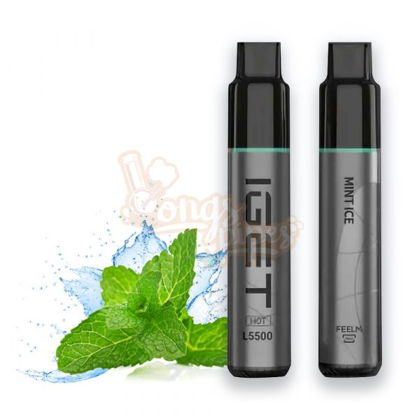 Brand IGET Hot 5500 Puffs Mint Ice