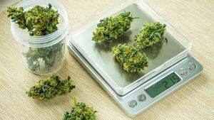 How Many Milligrams are in a Gram of Cannabis?